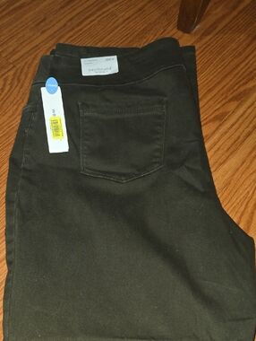 Westbound Woman Dark Olive Green Casual Pants with Back Pocket. The PARK AVE fit